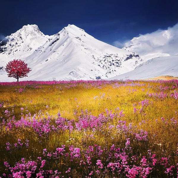Madame Réjane MOURICE